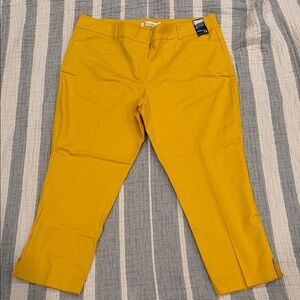 New York & Company Golden Cropped Pants